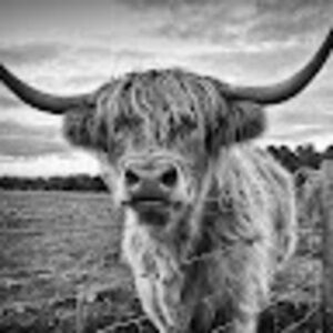 Meet your Posher, Sheree